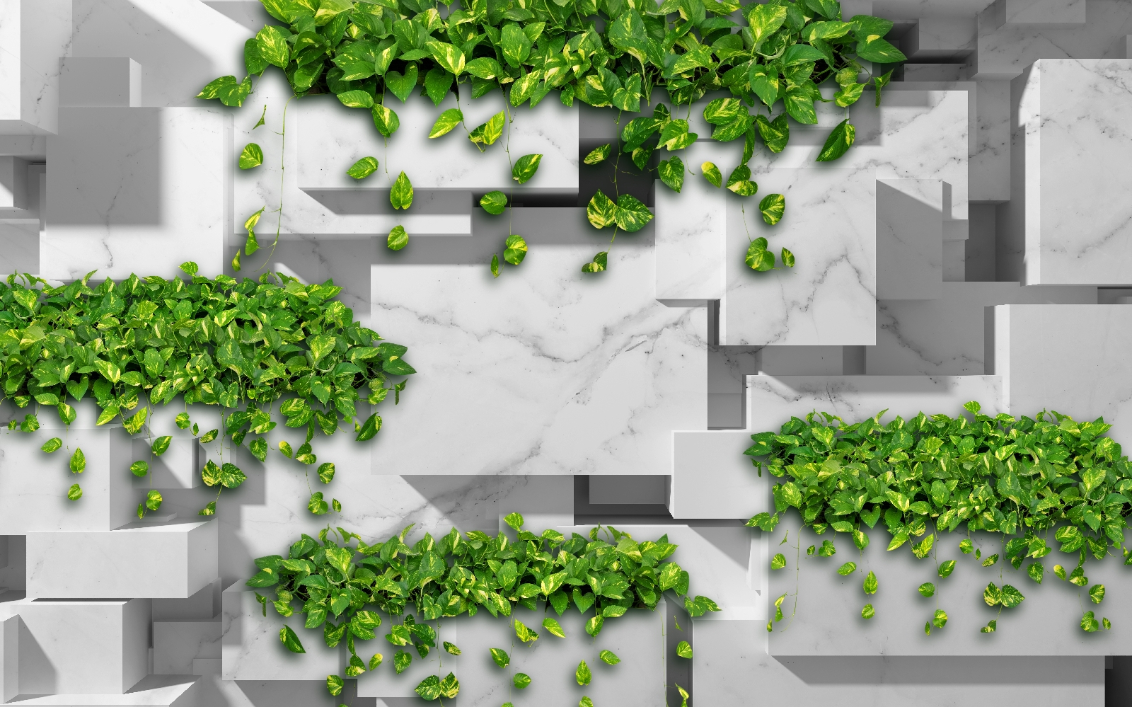 Wall with green leaves Wall with green leaves