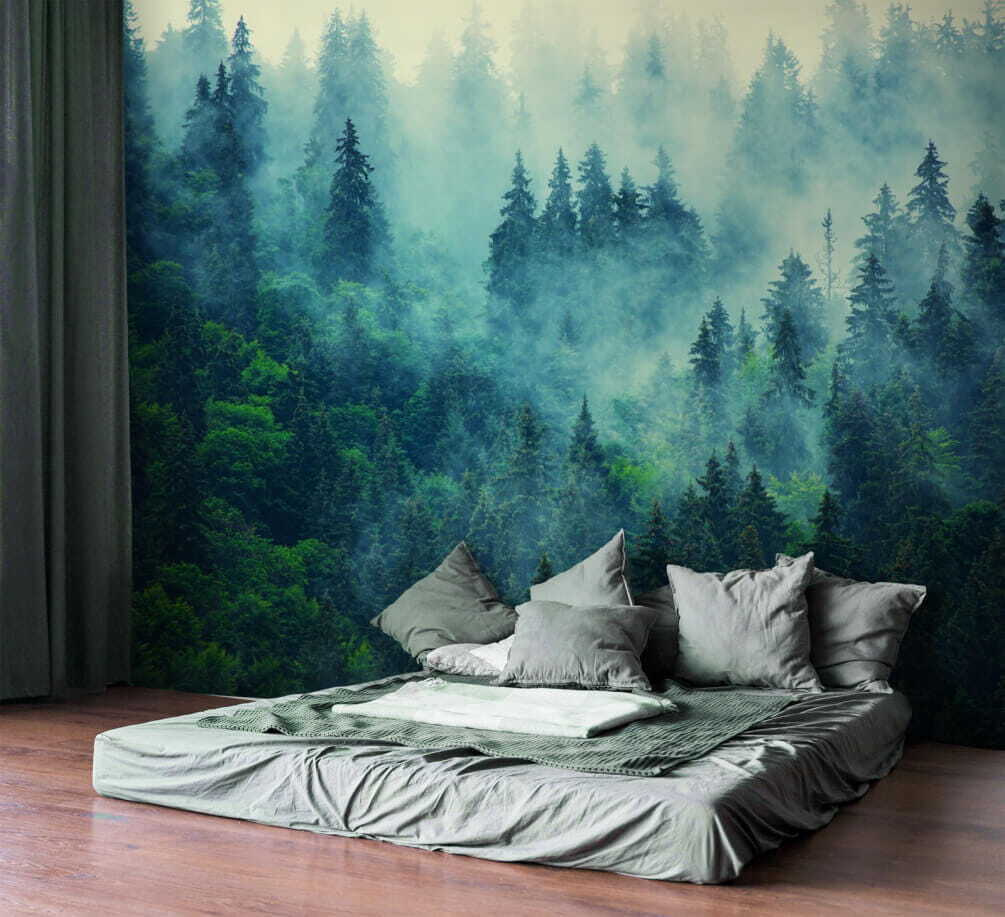 Foggy forest with trees Foggy forest with trees