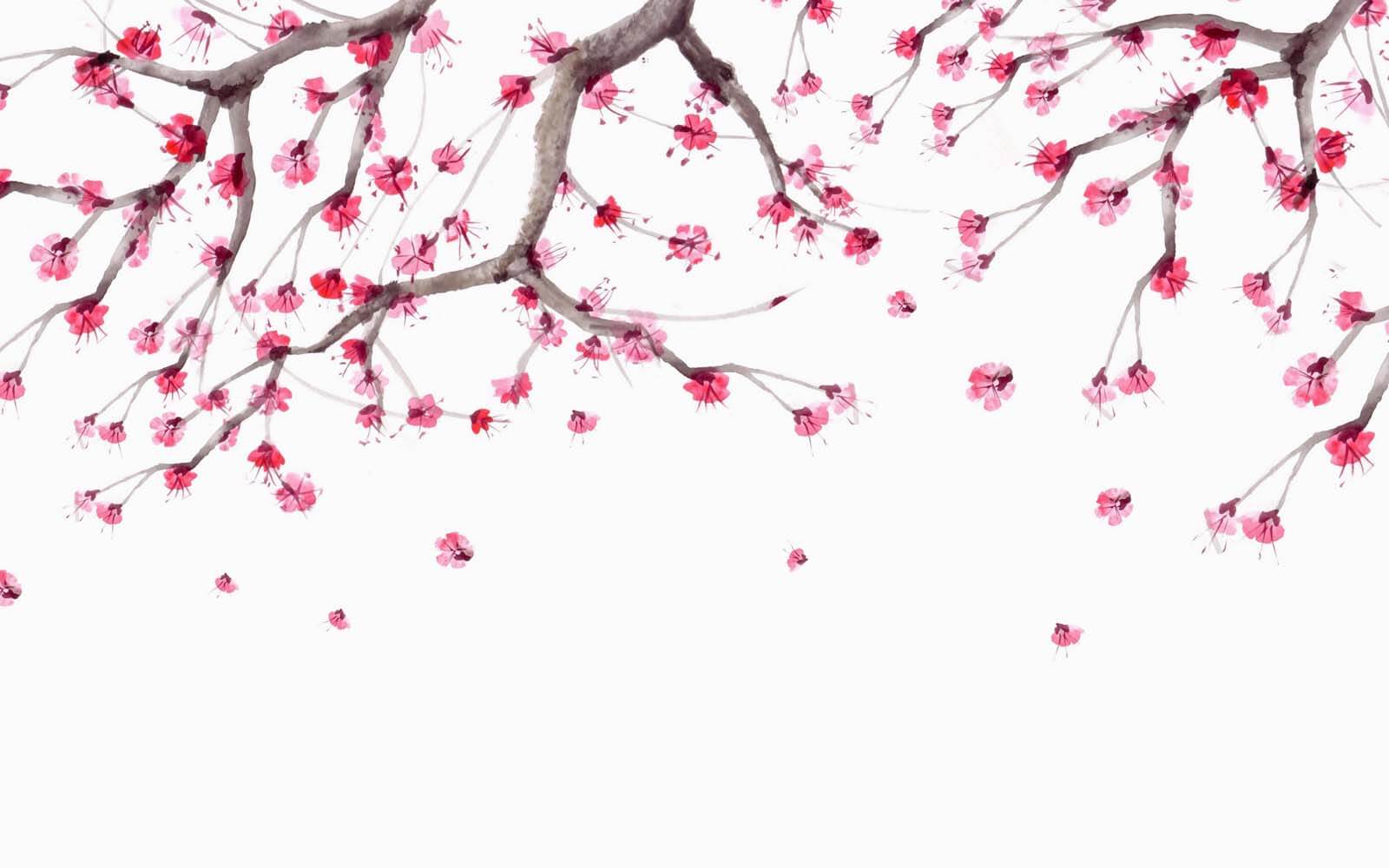 u28004p - Дерево з рожевими квітами - tegory