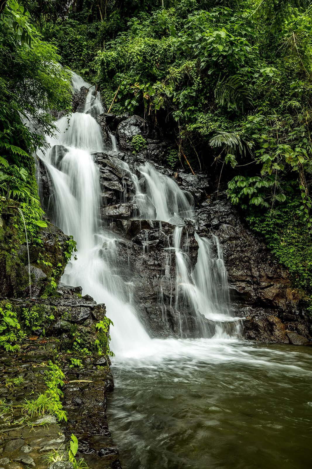 Waterfall in the middle of a forest Waterfall in the middle of a forest