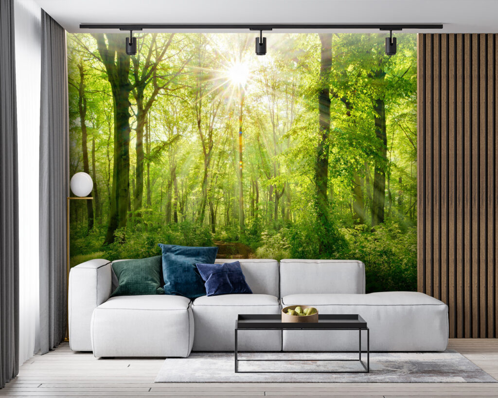 Path through a forest with trees and plants Path through a forest with trees and plants