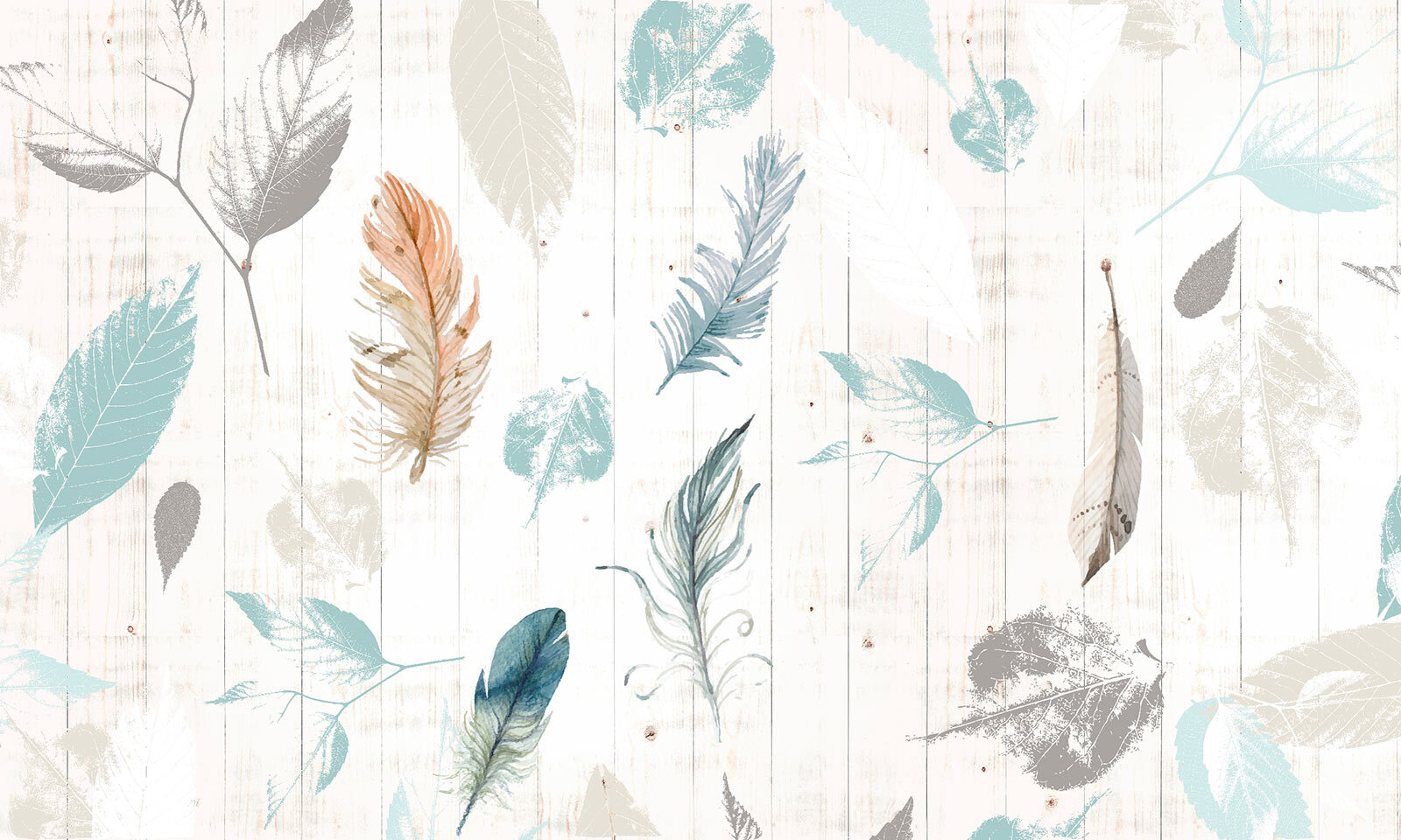 u21570p - Група пір'я на дерев'яній поверхні - tegory