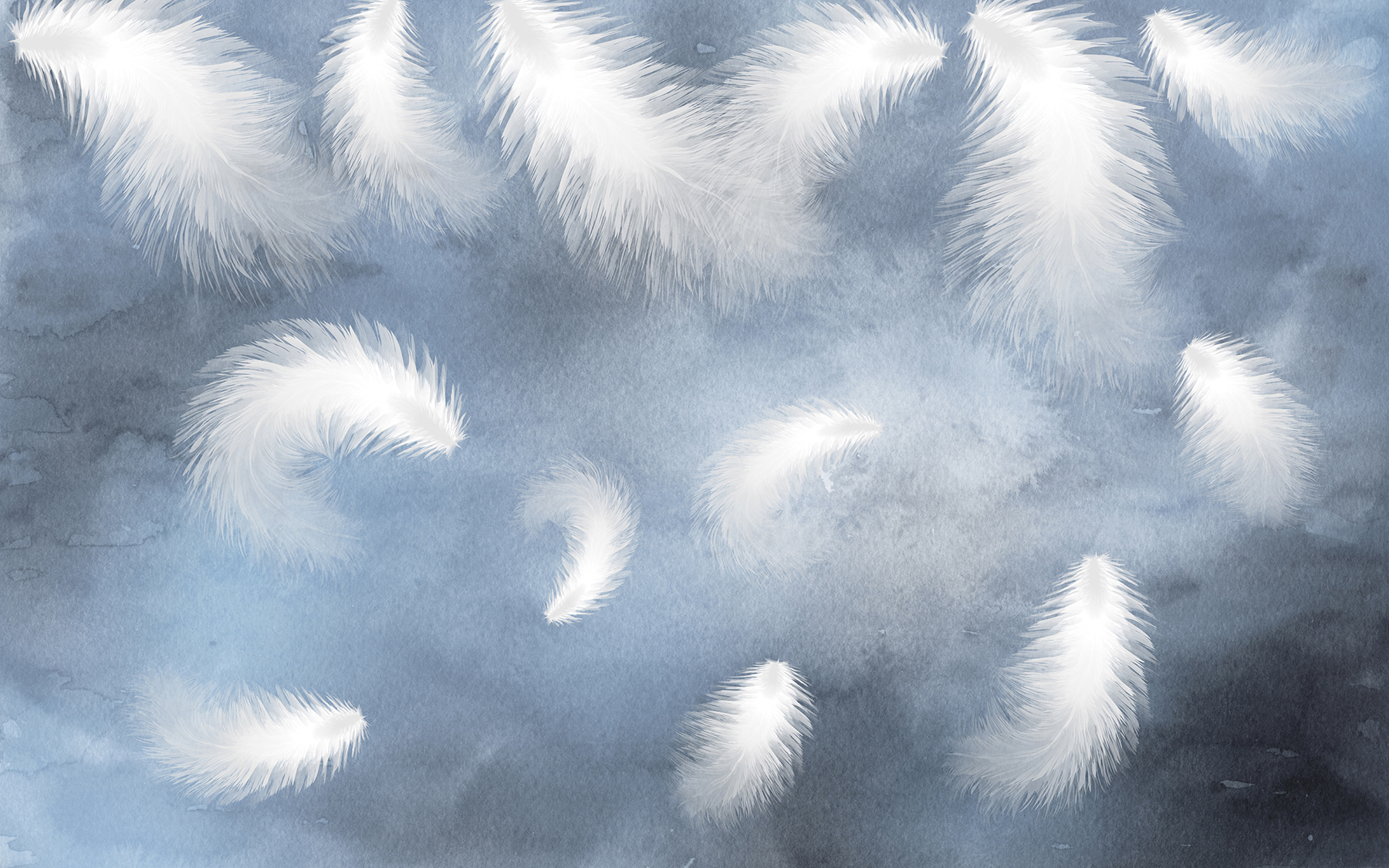 Біле пір'я в небі u18831p - Біле пір'я в небі - tegory