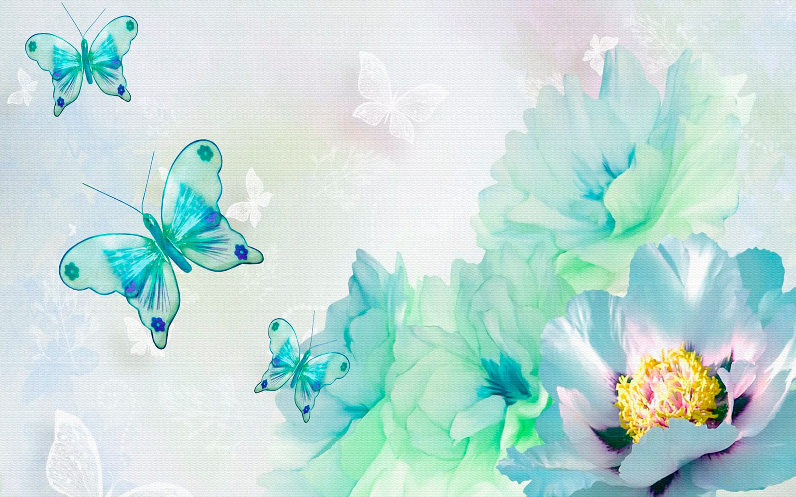 u17716p - Метелики на білому тлі - tegory