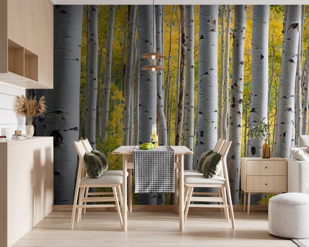 u13453pik119m 1024x819 - Група білих дерев з жовтим листям - tegory