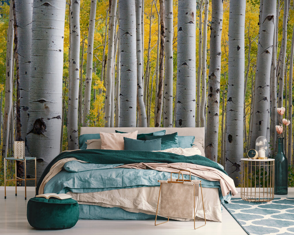 u13453pib111 1024x819 - Група білих дерев з жовтим листям - tegory