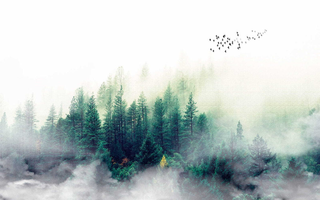 Birds flying over a forest