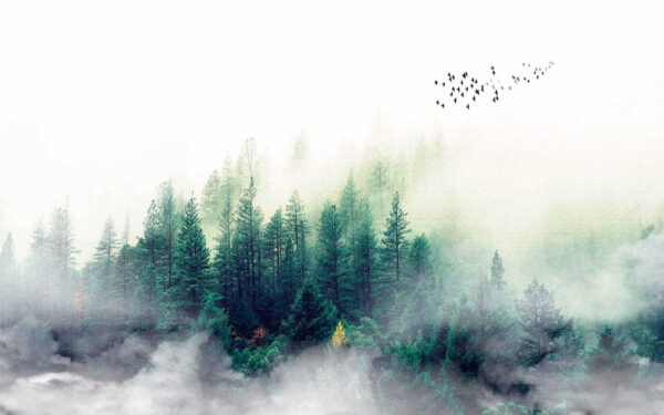 Birds flying over a forest