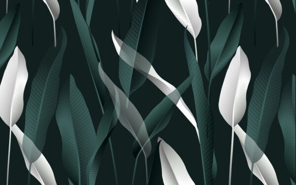 Elegant leaves on a dark backdrop Elegant leaves on a dark backdrop