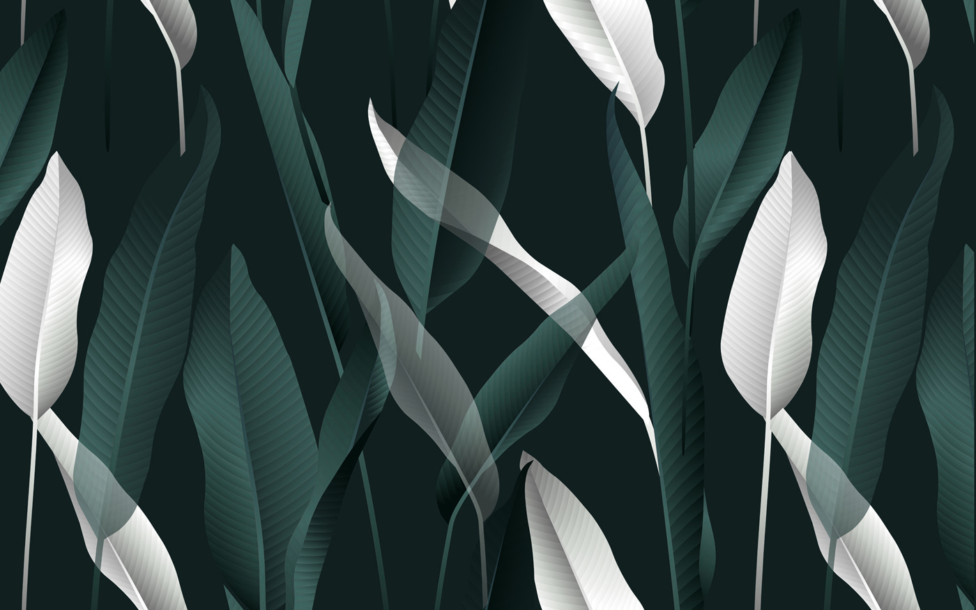 Elegant leaves on a dark backdrop Elegant leaves on a dark backdrop