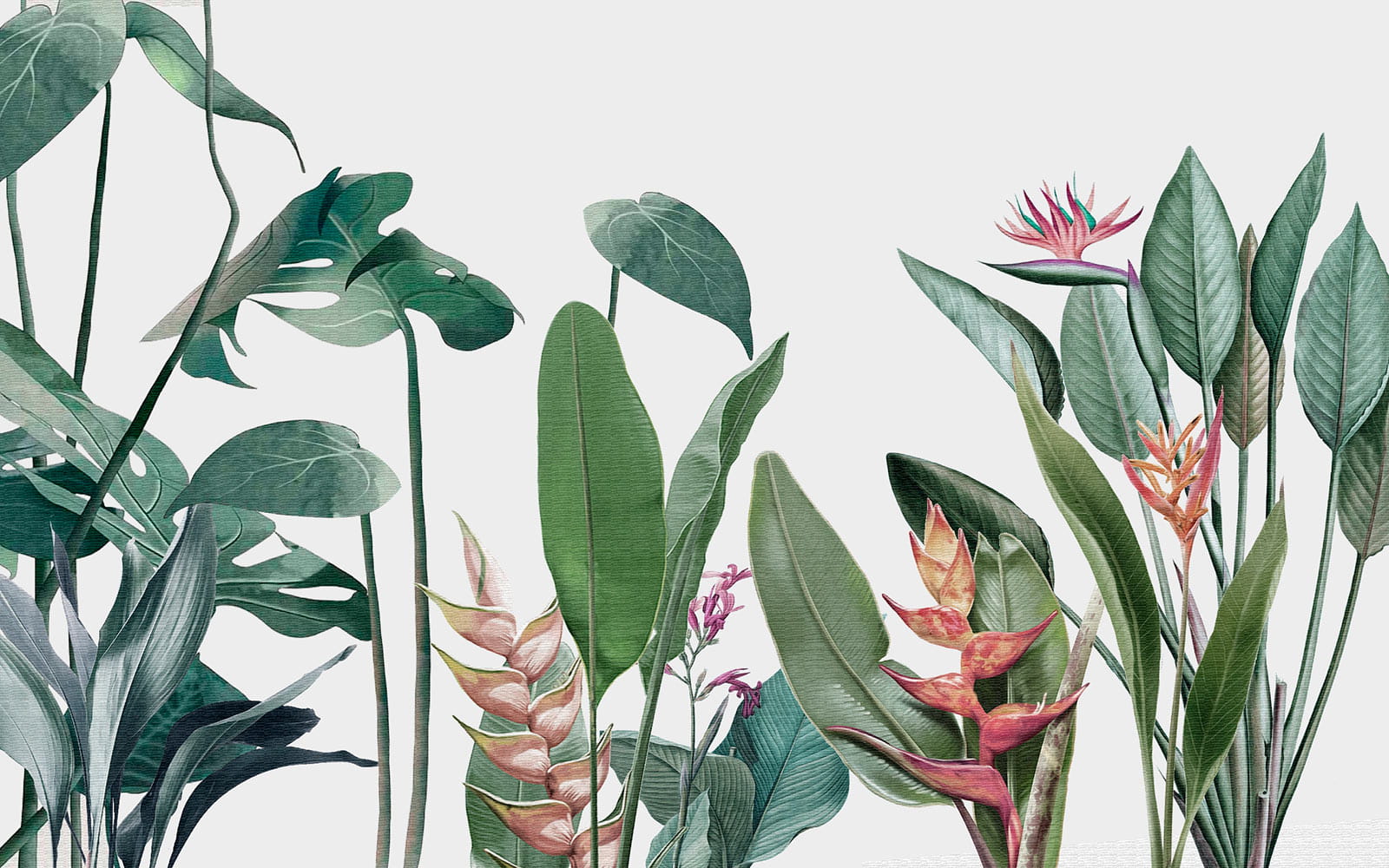 u08393p - Пишна зелень у яскравих кольорах - tegory