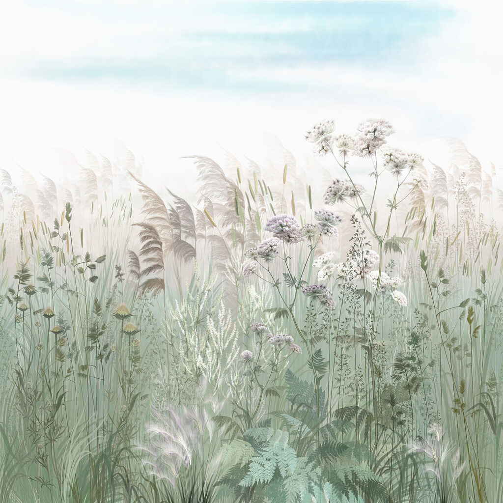 Field of grass and flowers