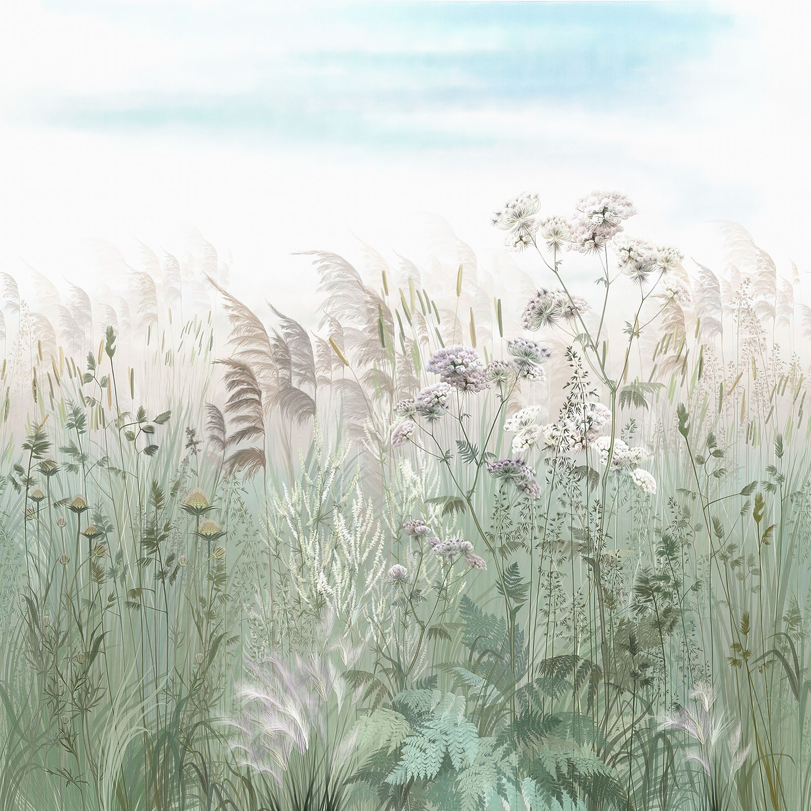 Field of grass and flowers Field of grass and flowers