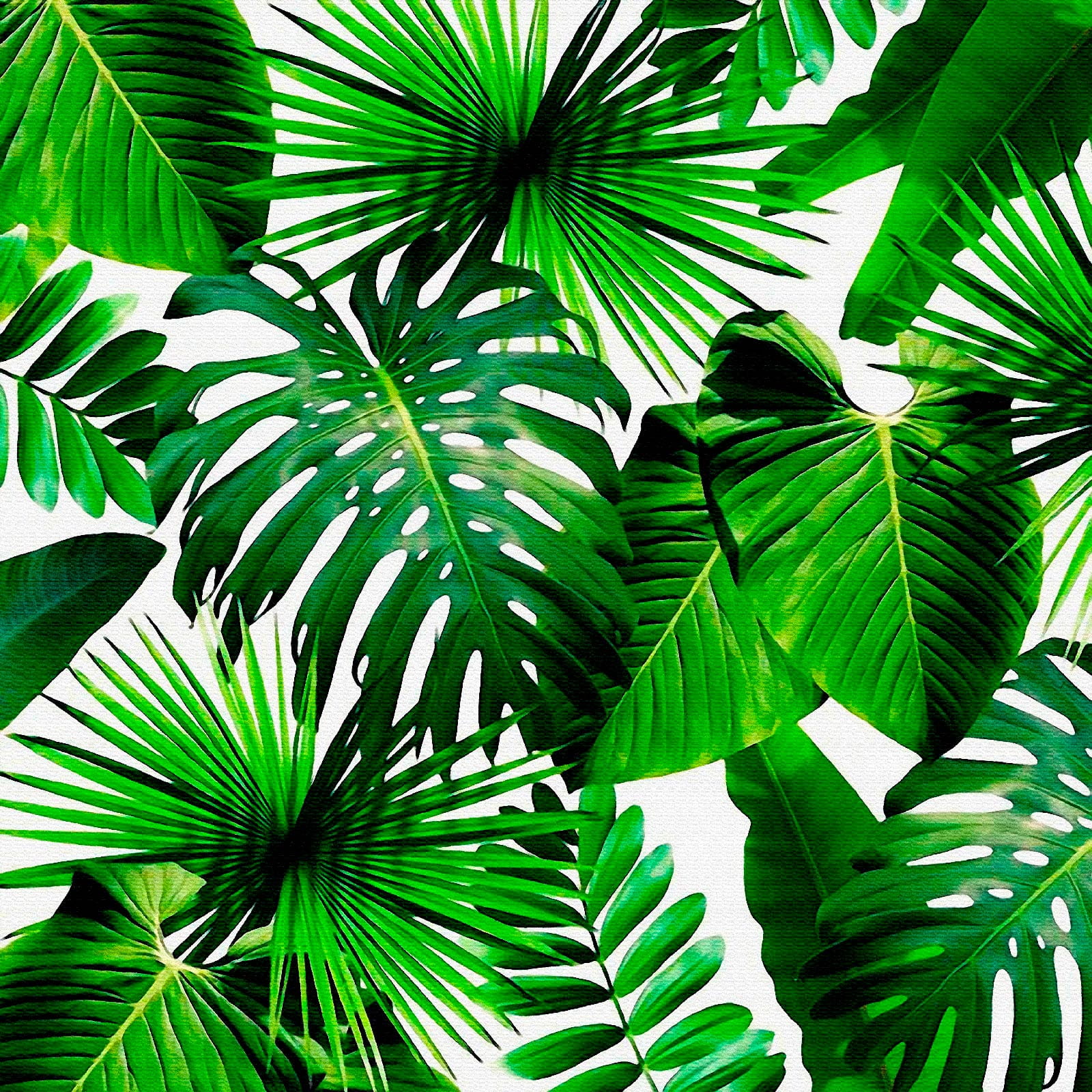 Group of green leaves