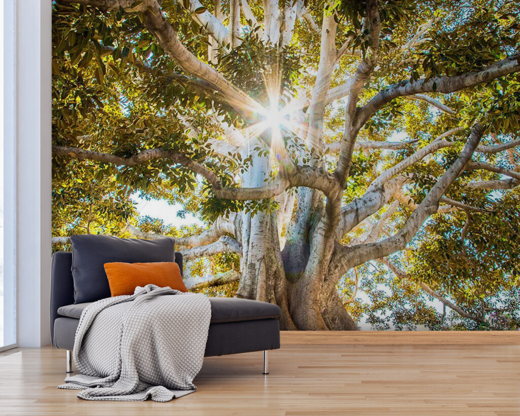 u01271pig25 1024x819 - Величне дерево в променистому сонячному світлі - tegory