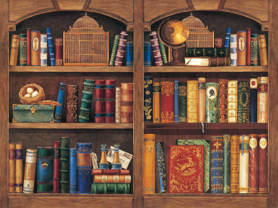Книжкова полиця, повна книг