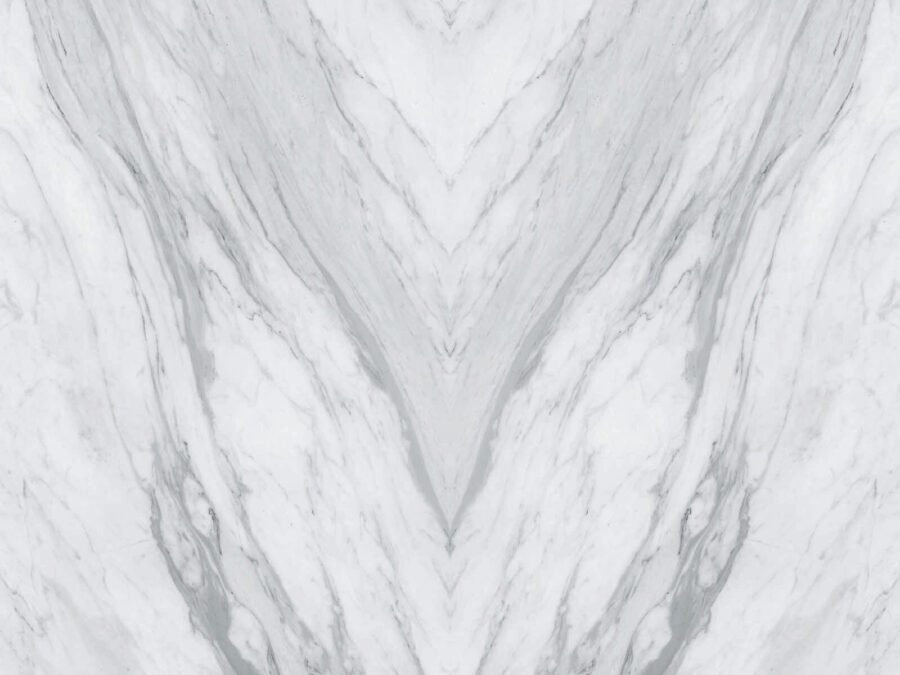 White marble surface with black veins White marble surface with black veins