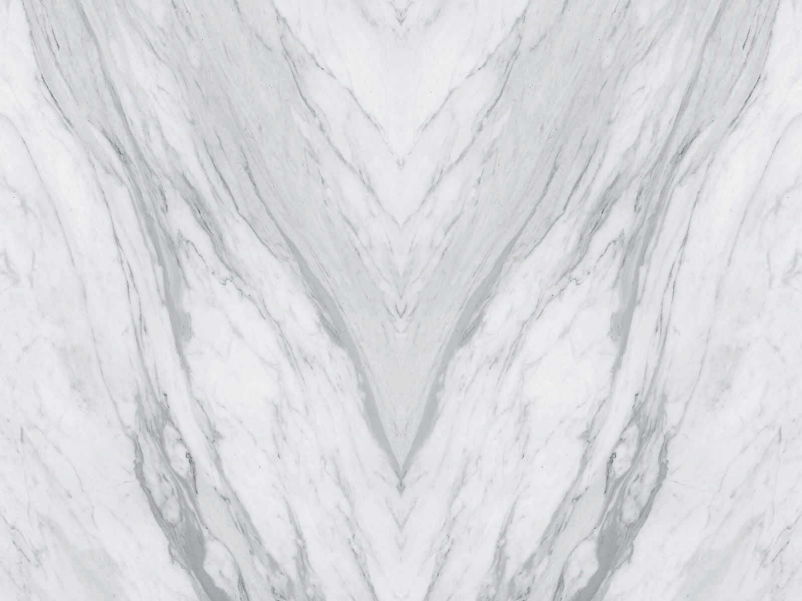 White marble surface with black veins