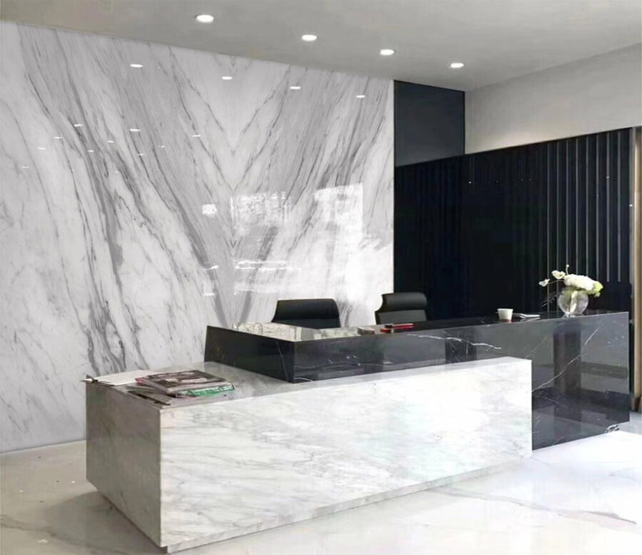 White marble surface with black veins White marble surface with black veins