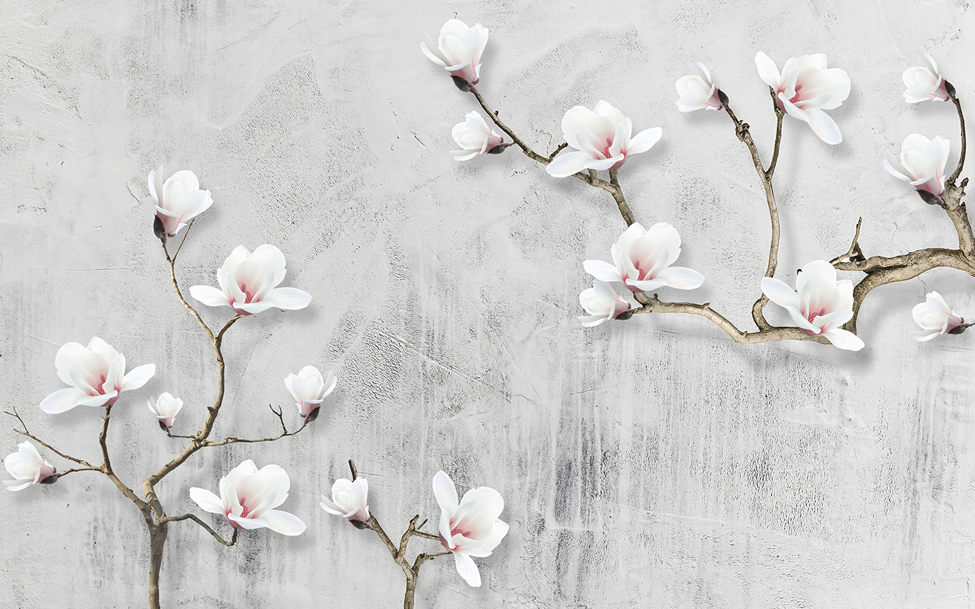 White flowers on a white background White flowers on a white background