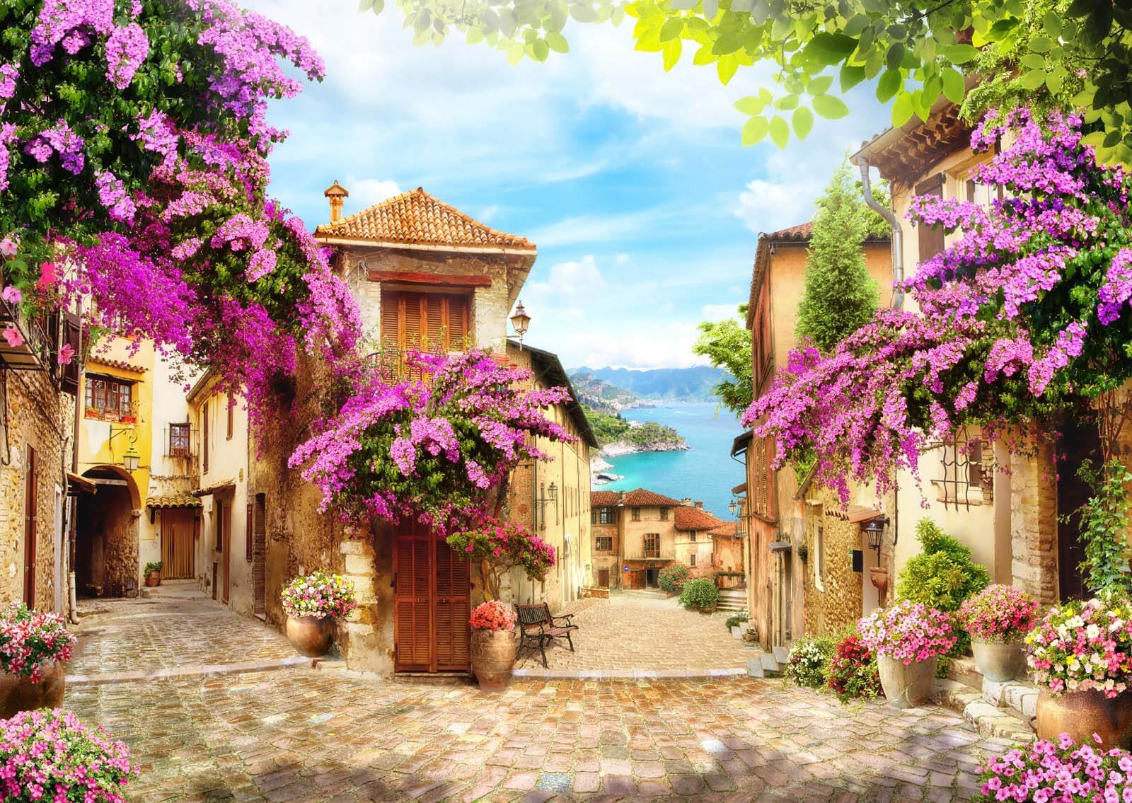 Street with flowers and trees Street with flowers and trees