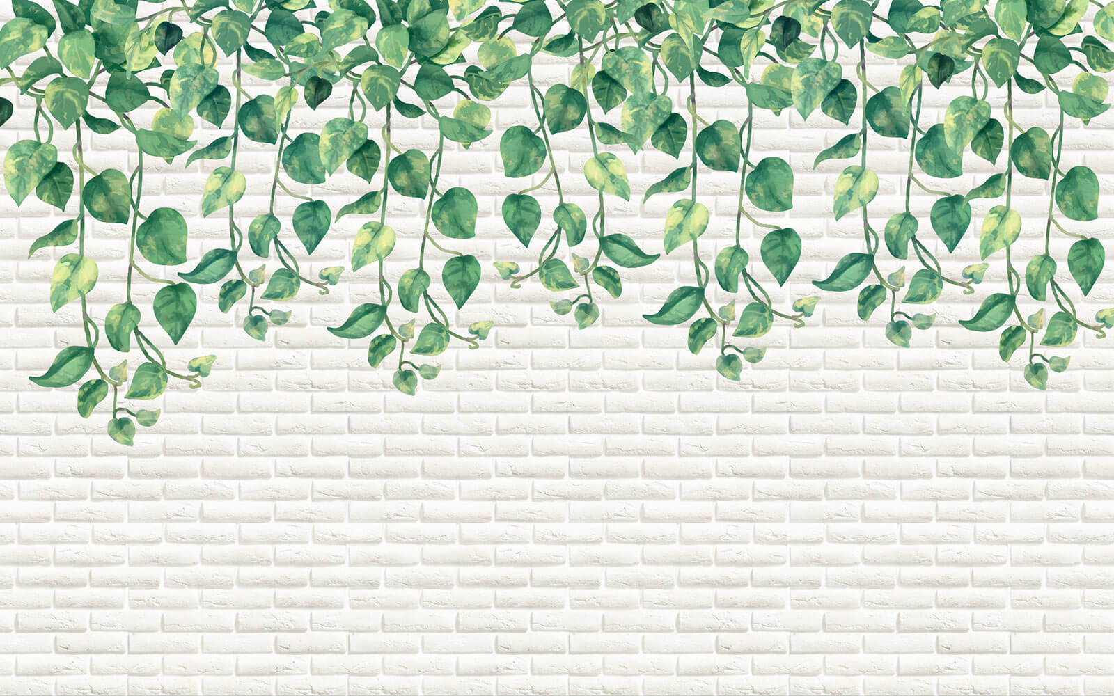 u06501p - Біла цегляна стіна з зеленим листям - tegory