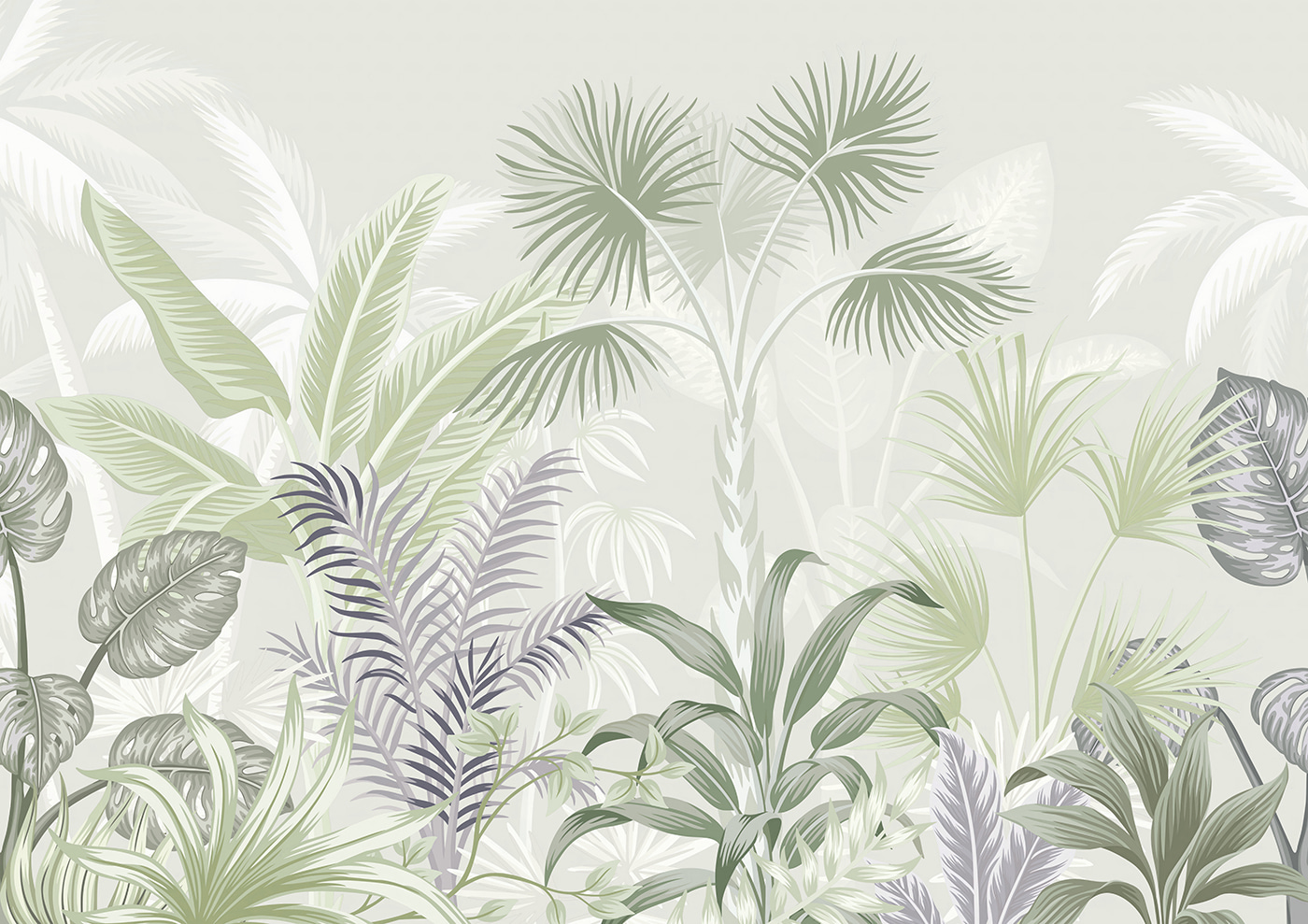 A group of plants with leaves A group of plants with leaves
