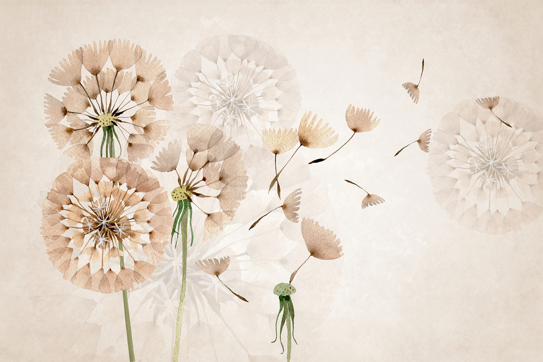 Delicate dandelions in soft hues Delicate dandelions in soft hues