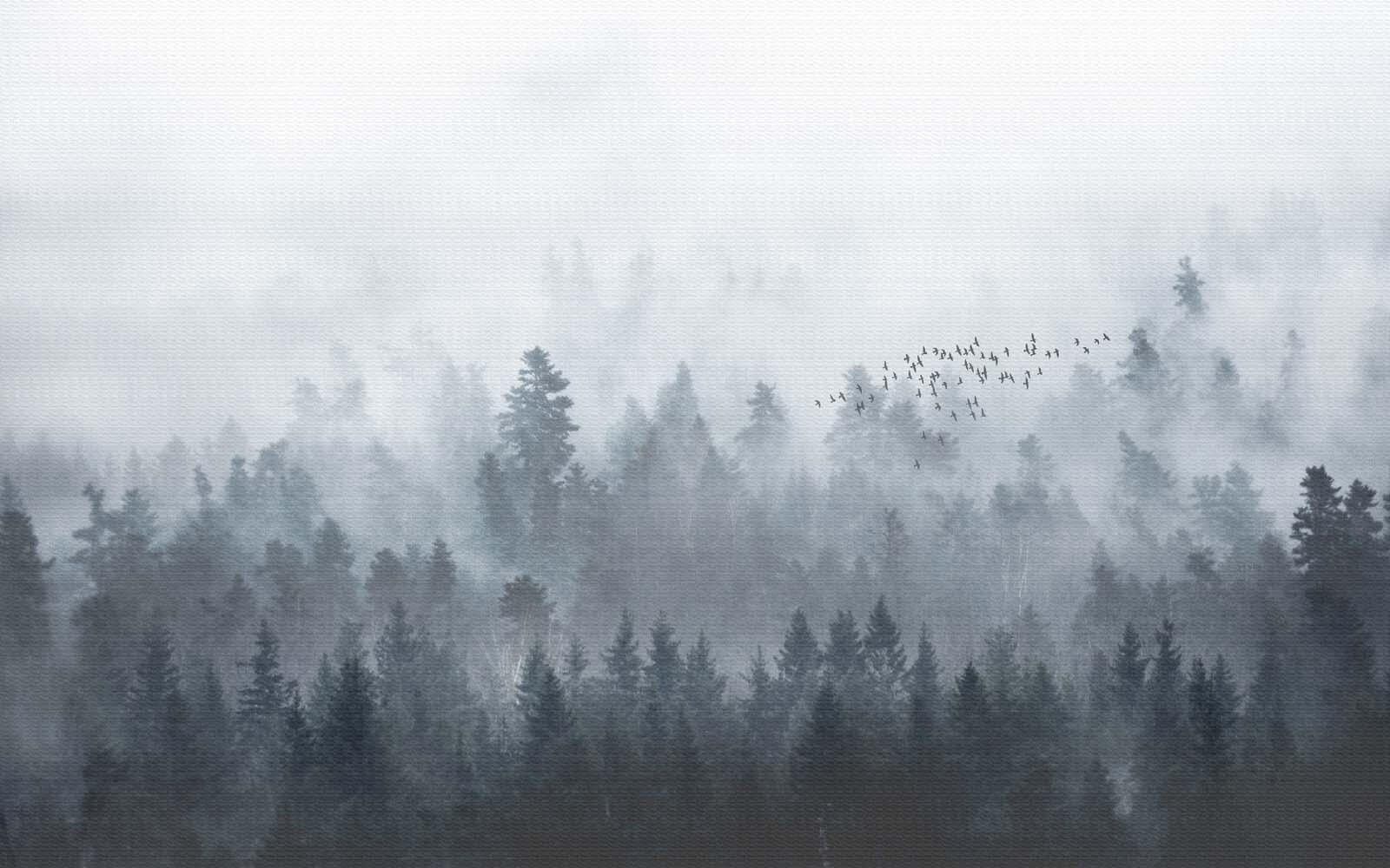 Група птахів летить над лісом u16629p - Група птахів летить над лісом - tegory