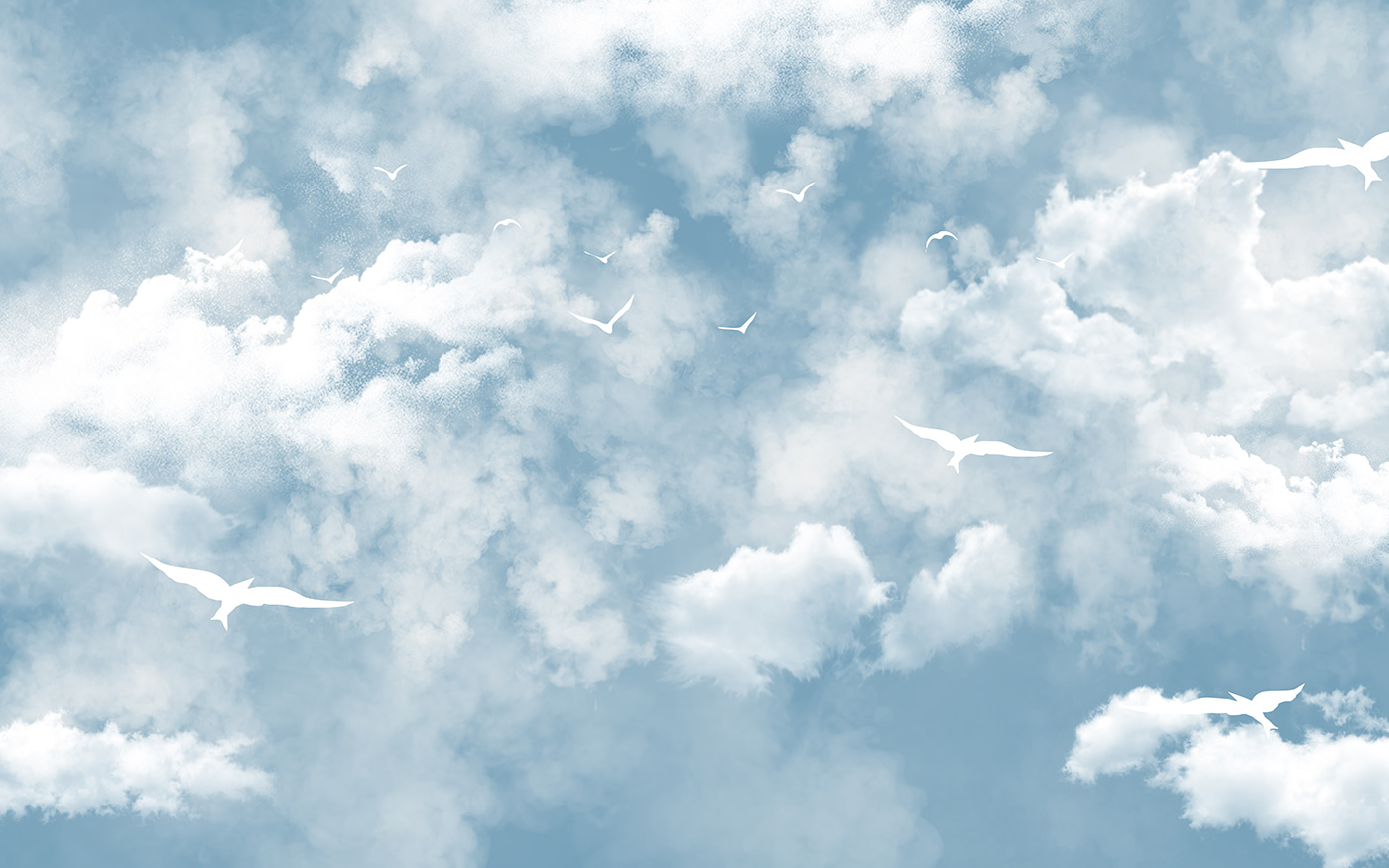Group of birds in the sky
