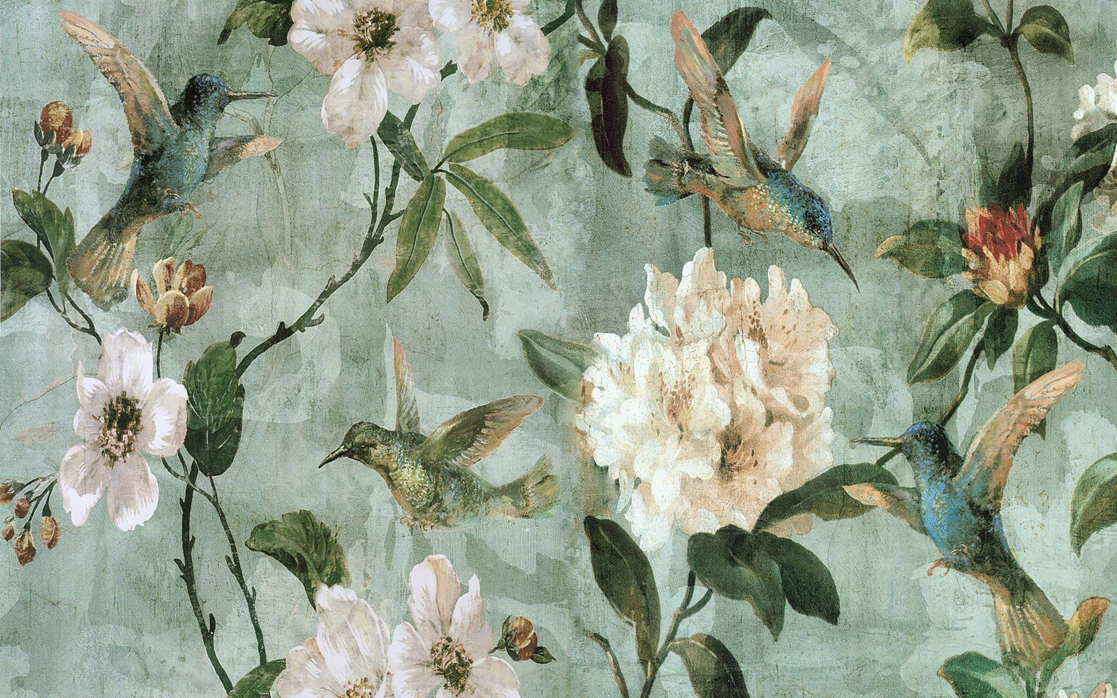 u31277p - Шпалери з птахами та квітами - tegory