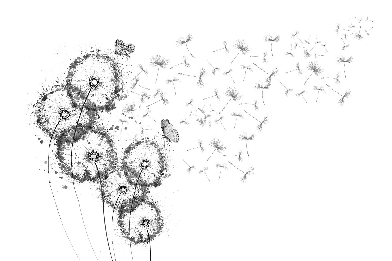 u31381p - Група метеликів, що літають у повітрі - tegory