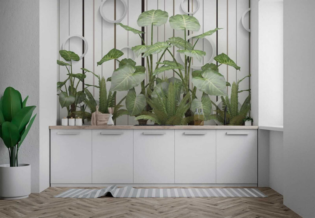 Plant with green leaves