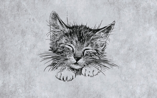 Малюнок кота Малюнок кота