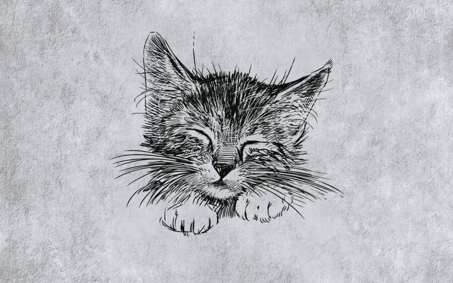 Фотошпалери Малюнок кота - Зображення 4