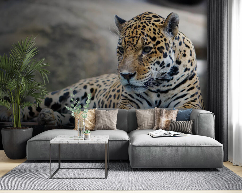 u55313pig53 1024x819 - Леопард лежить на дерев'яній поверхні - tegory