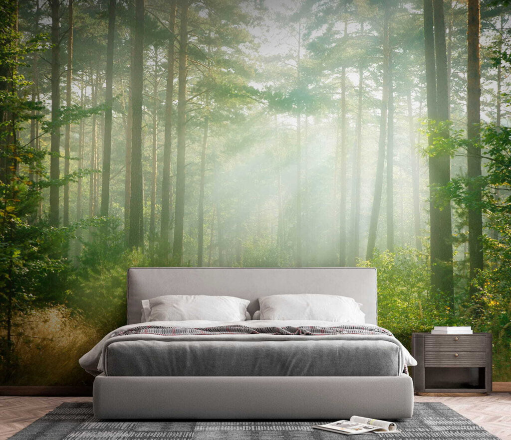 Path through a forest with trees and bushes