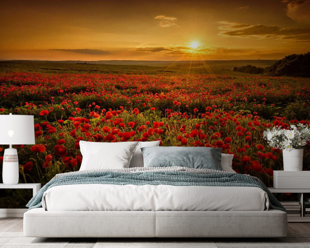 u56716pib105 1024x819 - Поле червоних квітів - tegory