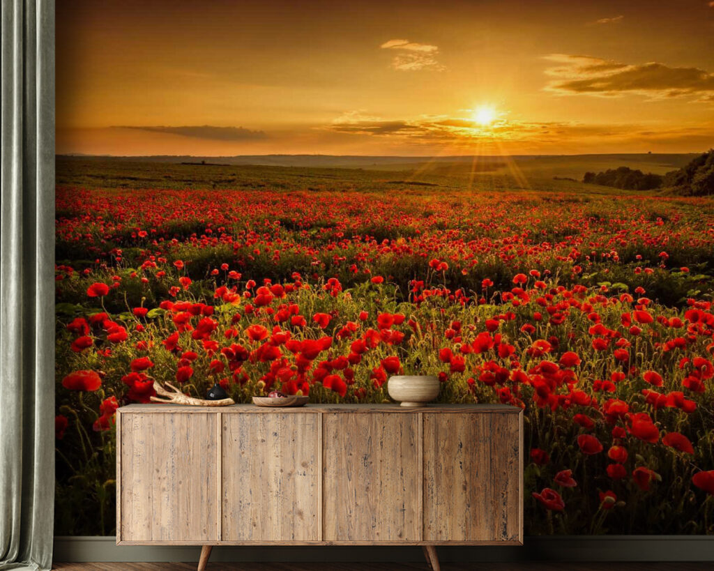 u56716pig21 1024x819 - Поле червоних квітів - tegory