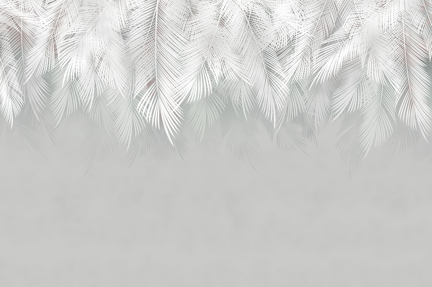 White feather pattern on a gray background White feather pattern on a gray background