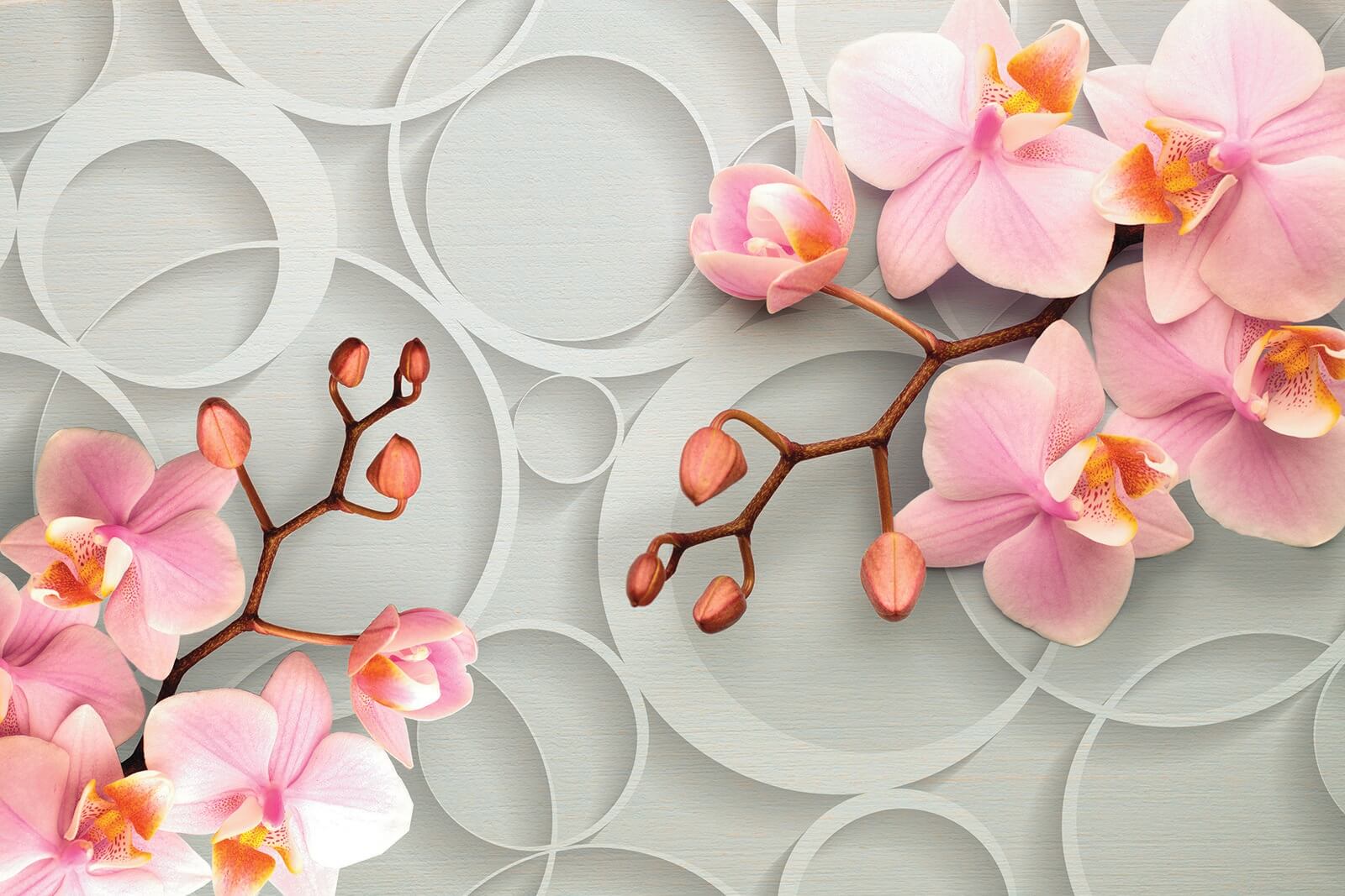 u66595p - Ніжне цвітіння на м'якому тлі - tegory