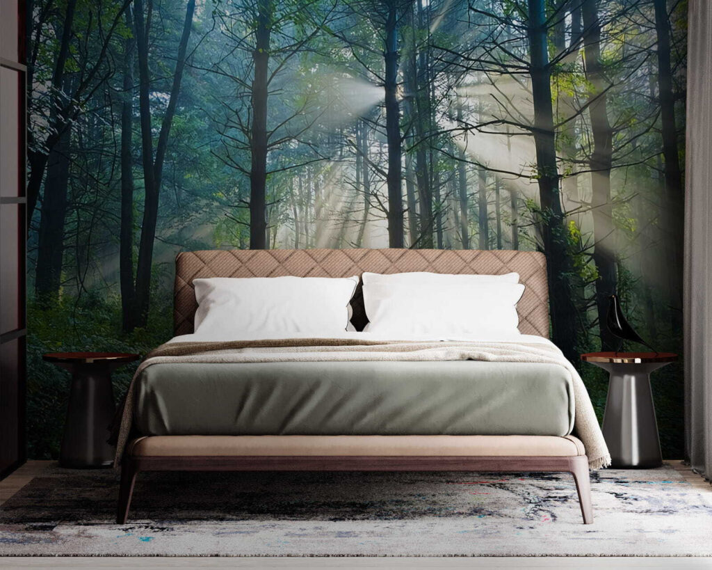 u70959pib1m 1024x819 - Сонце світить крізь дерева в лісі - tegory