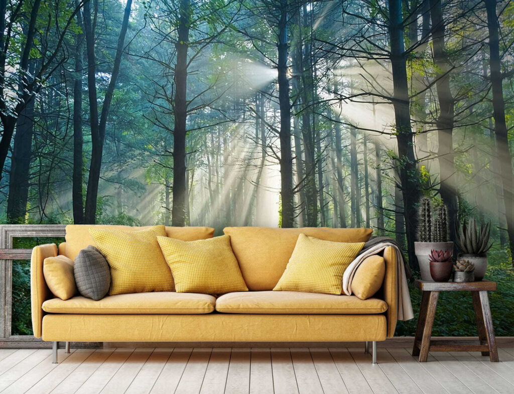 u70959pig1 1024x785 - Сонце світить крізь дерева в лісі - tegory