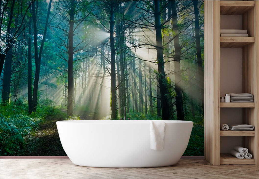 u70959pit1 1024x709 - Сонце світить крізь дерева в лісі - tegory