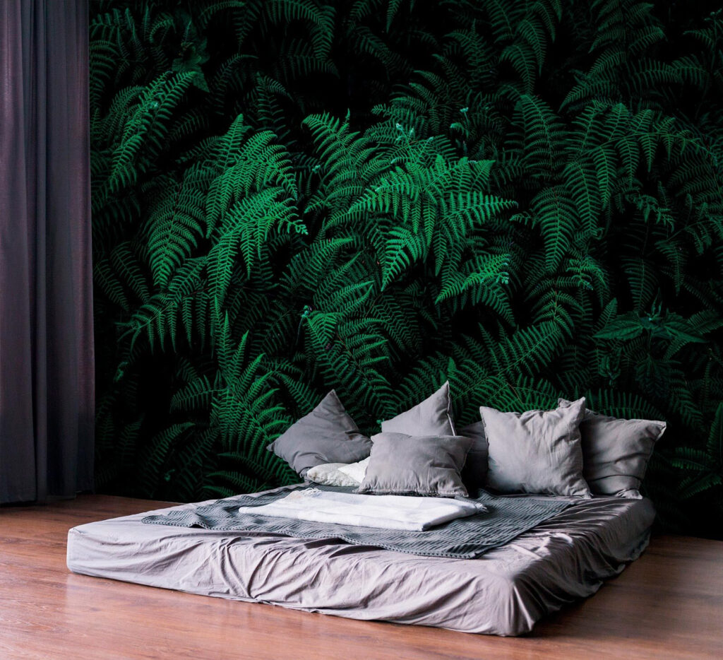 Lush ferns in deep green hues