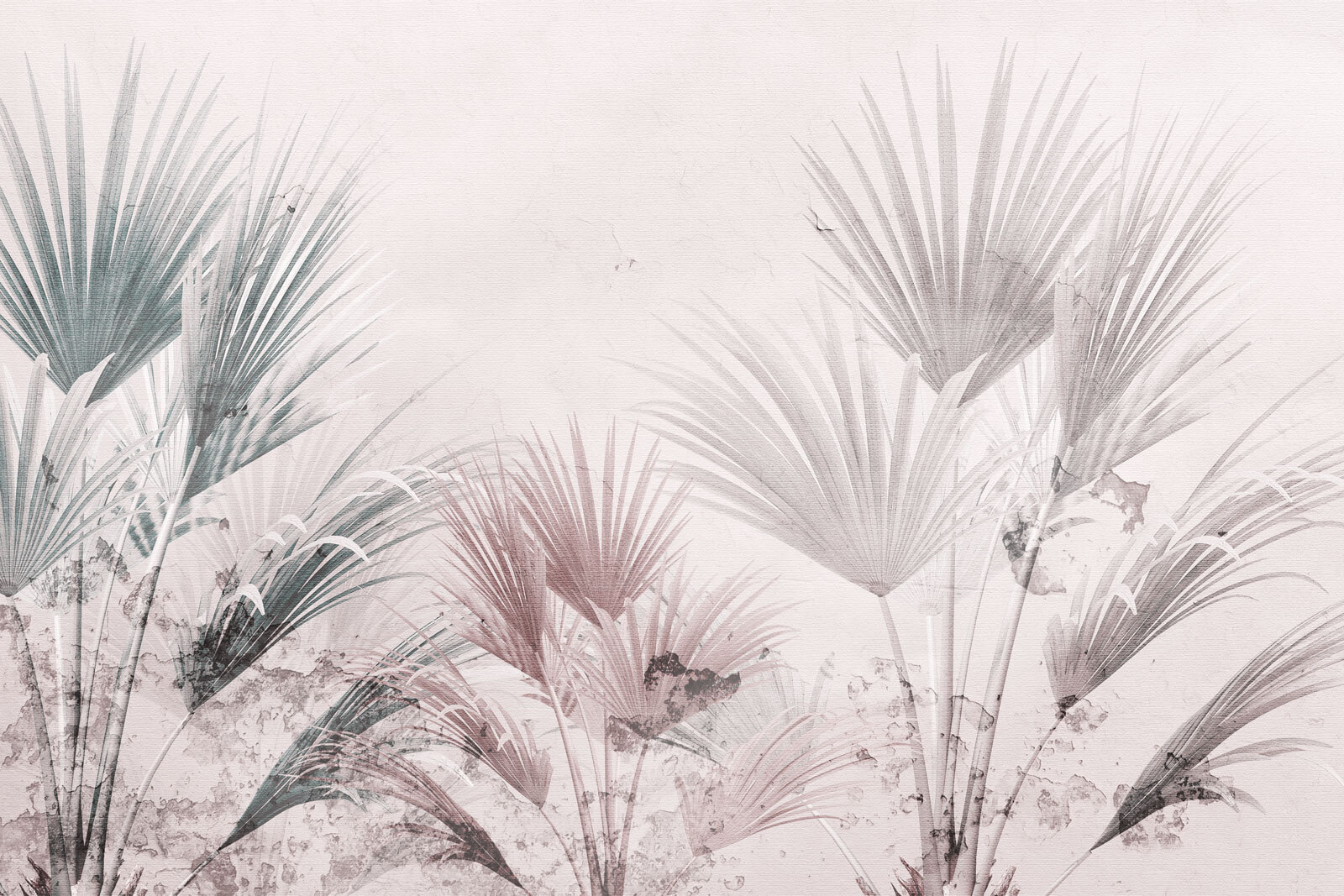 Elegant palm leaves on a soft background Elegant palm leaves on a soft background