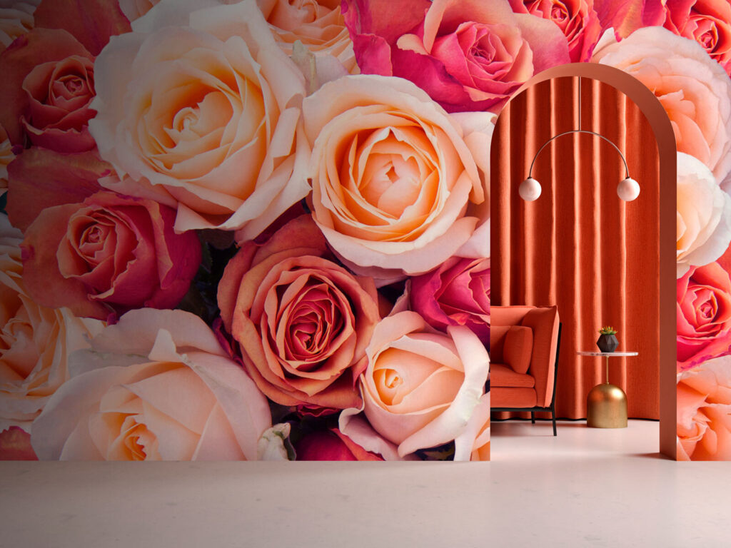 u74346pih1 1024x768 - Група рожевих і білих троянд - tegory