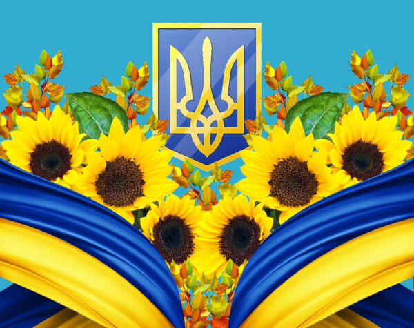 Група соняшників і синьо-жовта завіса Група соняшників і синьо-жовта завіса