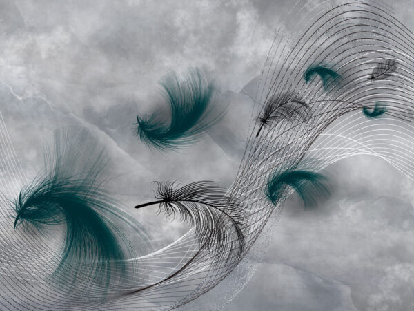 Elegant swirls of flowing feathers Elegant swirls of flowing feathers