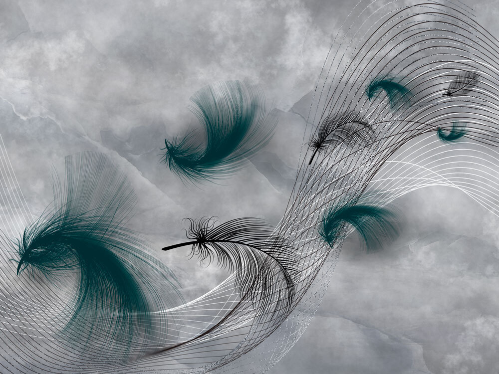 Elegant swirls of flowing feathers Elegant swirls of flowing feathers